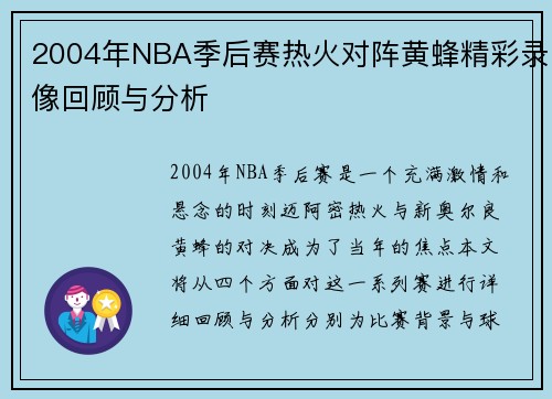 2004年NBA季后赛热火对阵黄蜂精彩录像回顾与分析