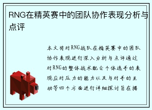 RNG在精英赛中的团队协作表现分析与点评
