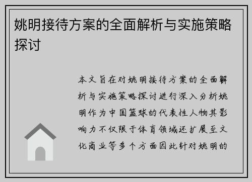 姚明接待方案的全面解析与实施策略探讨
