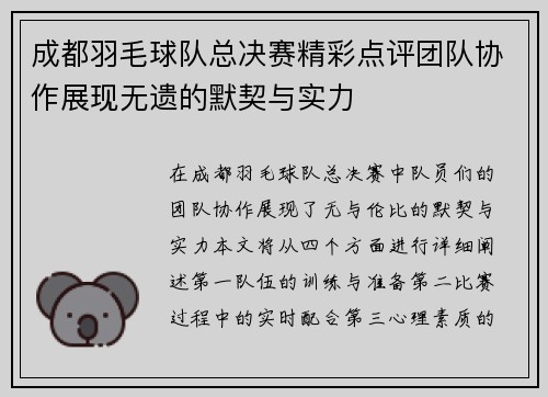 成都羽毛球队总决赛精彩点评团队协作展现无遗的默契与实力